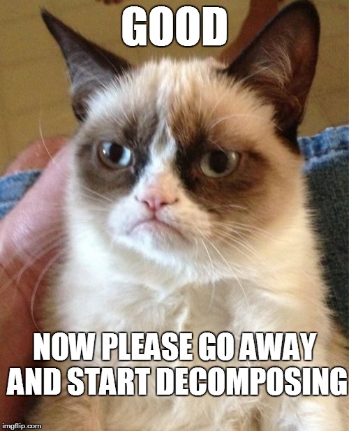 Grumpy Cat Meme | GOOD NOW PLEASE GO AWAY AND START DECOMPOSING | image tagged in memes,grumpy cat | made w/ Imgflip meme maker
