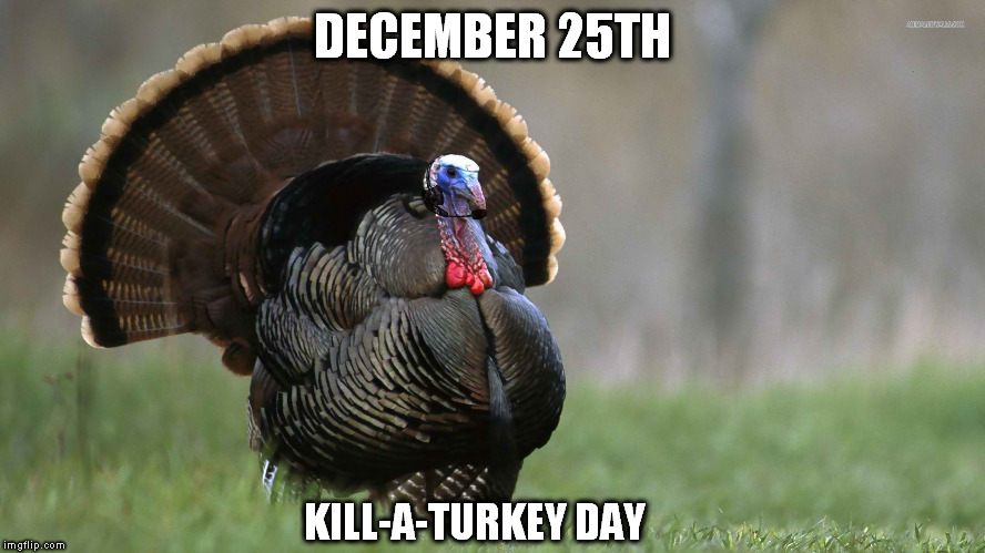 DECEMBER 25TH; KILL-A-TURKEY DAY | image tagged in turkey | made w/ Imgflip meme maker