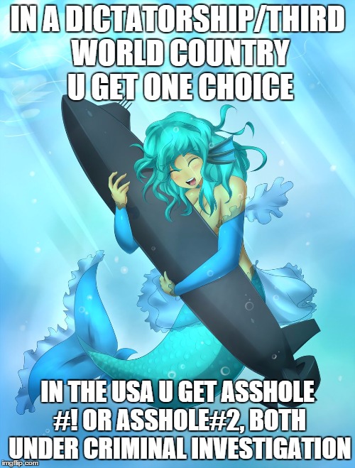 mermaidsubbyjcrdeviantart | IN A DICTATORSHIP/THIRD WORLD COUNTRY U GET ONE CHOICE; IN THE USA U GET ASSHOLE #! OR ASSHOLE#2, BOTH UNDER CRIMINAL INVESTIGATION | image tagged in mermaidsubbyjcrdeviantart | made w/ Imgflip meme maker