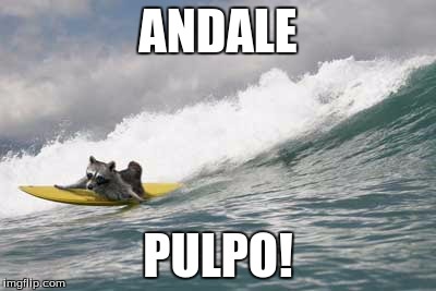 ANDALE; PULPO! | image tagged in raccoon | made w/ Imgflip meme maker