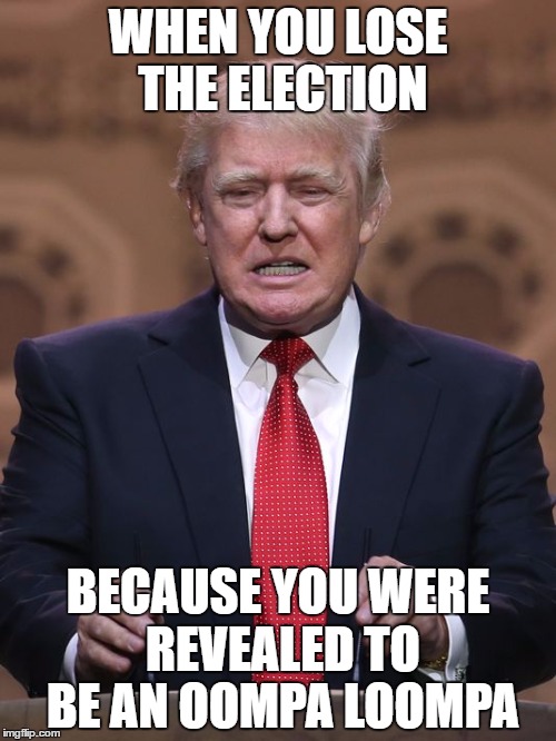 Donald Trump | WHEN YOU LOSE THE ELECTION; BECAUSE YOU WERE REVEALED TO BE AN OOMPA LOOMPA | image tagged in donald trump | made w/ Imgflip meme maker