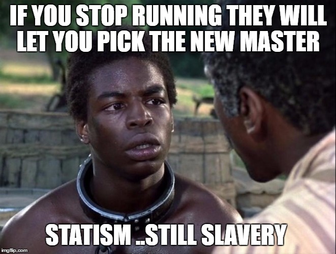 Roots | IF YOU STOP RUNNING THEY WILL LET YOU PICK THE NEW MASTER; STATISM ..STILL SLAVERY | image tagged in roots | made w/ Imgflip meme maker