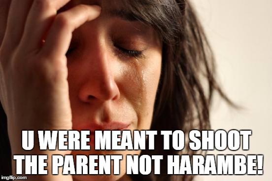 First World Problems Meme | U WERE MEANT TO SHOOT THE PARENT NOT HARAMBE! | image tagged in memes,first world problems | made w/ Imgflip meme maker
