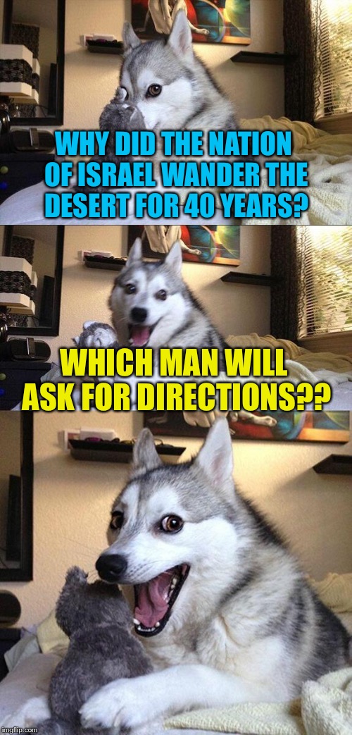 Bad Pun Dog Meme | WHY DID THE NATION OF ISRAEL WANDER THE DESERT FOR 40 YEARS? WHICH MAN WILL ASK FOR DIRECTIONS?? | image tagged in memes,bad pun dog | made w/ Imgflip meme maker