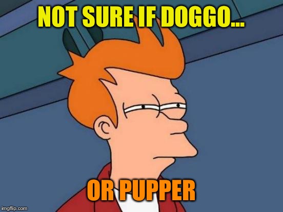 Futurama Fry Meme | NOT SURE IF DOGGO... OR PUPPER | image tagged in memes,futurama fry | made w/ Imgflip meme maker