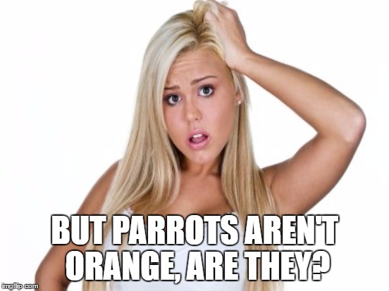 BUT PARROTS AREN'T ORANGE, ARE THEY? | made w/ Imgflip meme maker