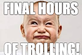 FINAL HOURS; OF TROLLING! | image tagged in election 2016 | made w/ Imgflip meme maker