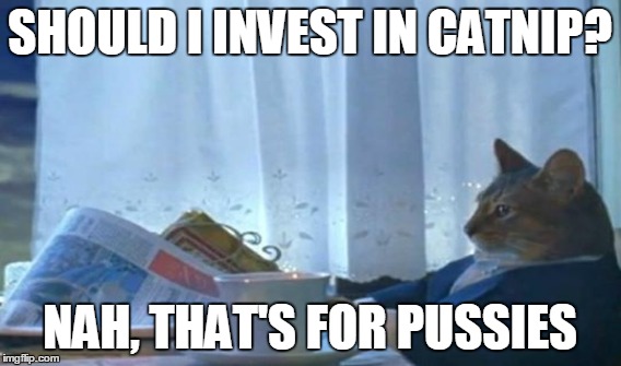 SHOULD I INVEST IN CATNIP? NAH, THAT'S FOR PUSSIES | made w/ Imgflip meme maker