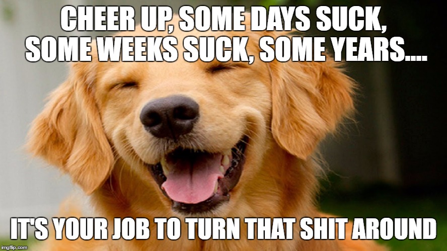 CHEER UP, SOME DAYS SUCK, SOME WEEKS SUCK, SOME YEARS.... IT'S YOUR JOB TO TURN THAT SHIT AROUND | made w/ Imgflip meme maker