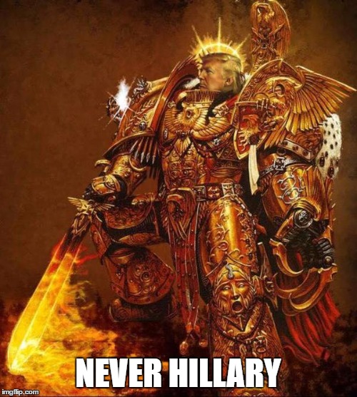 NEVER HILLARY | image tagged in trump flame warrior | made w/ Imgflip meme maker