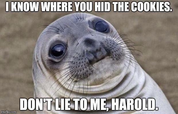 Awkward Moment Sealion | I KNOW WHERE YOU HID THE COOKIES. DON'T LIE TO ME, HAROLD. | image tagged in memes,awkward moment sealion | made w/ Imgflip meme maker