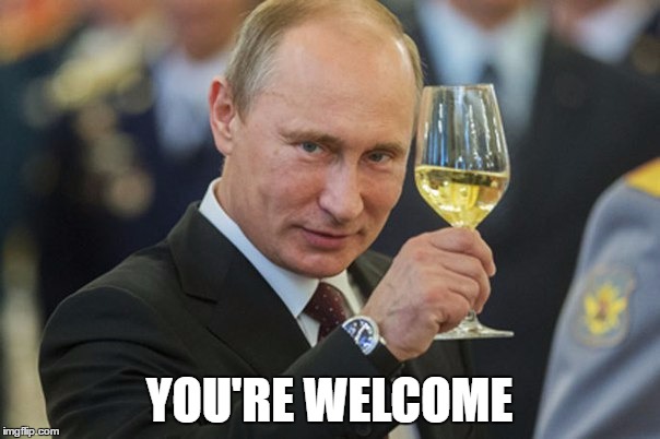 Putin Cheers | YOU'RE WELCOME | image tagged in putin cheers | made w/ Imgflip meme maker