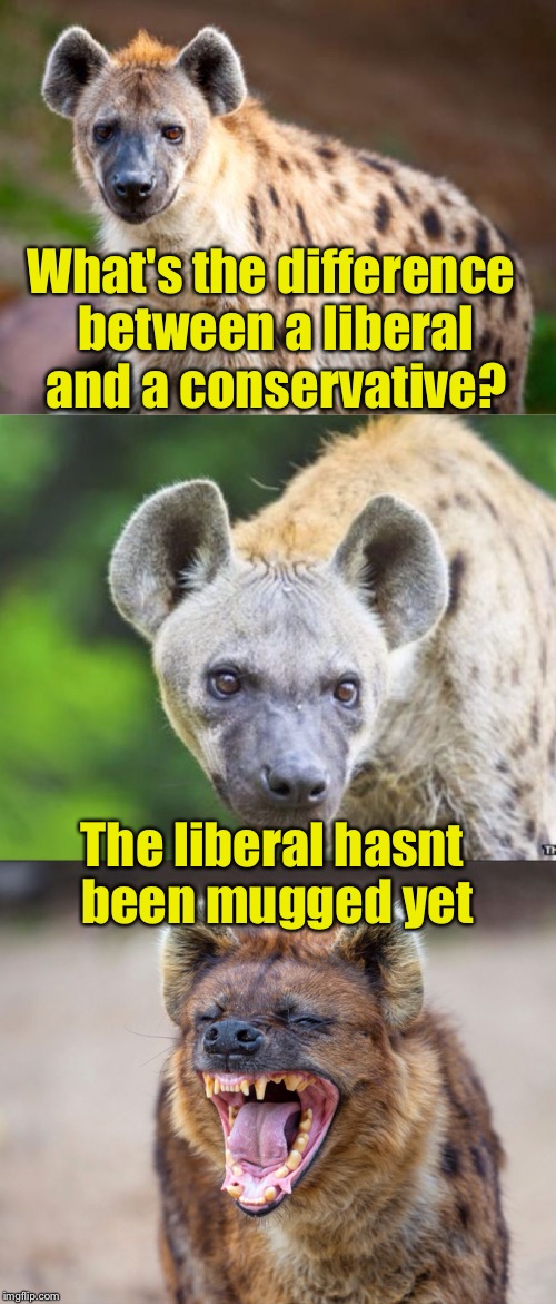 Bad political joke hyena  | What's the difference between a liberal and a conservative? The liberal hasnt been mugged yet | image tagged in bad pun hyena | made w/ Imgflip meme maker