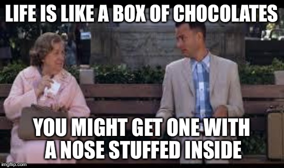 LIFE IS LIKE A BOX OF CHOCOLATES YOU MIGHT GET ONE WITH A NOSE STUFFED INSIDE | made w/ Imgflip meme maker