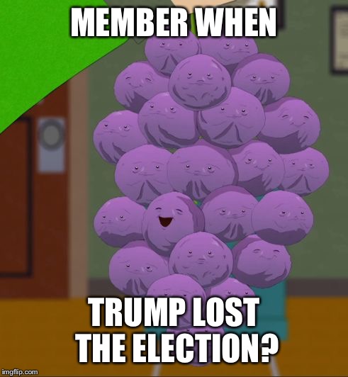 member berries  | MEMBER WHEN; TRUMP LOST THE ELECTION? | image tagged in member berries | made w/ Imgflip meme maker