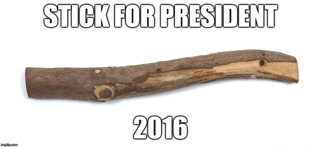 Vote for Stick! He'll do a better job than Hillary or Donald. | STICK FOR PRESIDENT; 2016 | image tagged in funny,election 2016,hillary clinton,donald trump | made w/ Imgflip meme maker