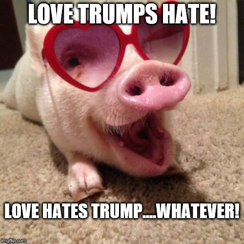 pig hearts | LOVE TRUMPS HATE! LOVE HATES TRUMP....WHATEVER! | image tagged in pig hearts | made w/ Imgflip meme maker