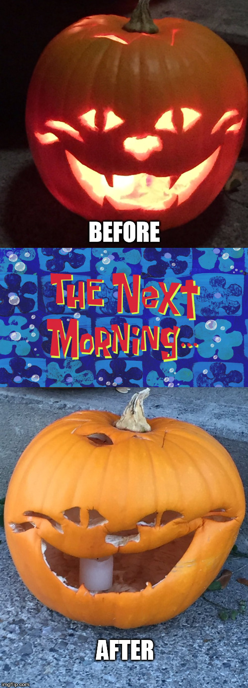 They Grow Up So Fast | BEFORE; AFTER | image tagged in funny,memes,dank,dankmemes,pumpkin,before and after | made w/ Imgflip meme maker