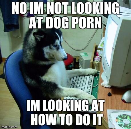 I Have No Idea What I Am Doing Meme | NO IM NOT LOOKING AT DOG PORN; IM LOOKING AT HOW TO DO IT | image tagged in memes,i have no idea what i am doing | made w/ Imgflip meme maker
