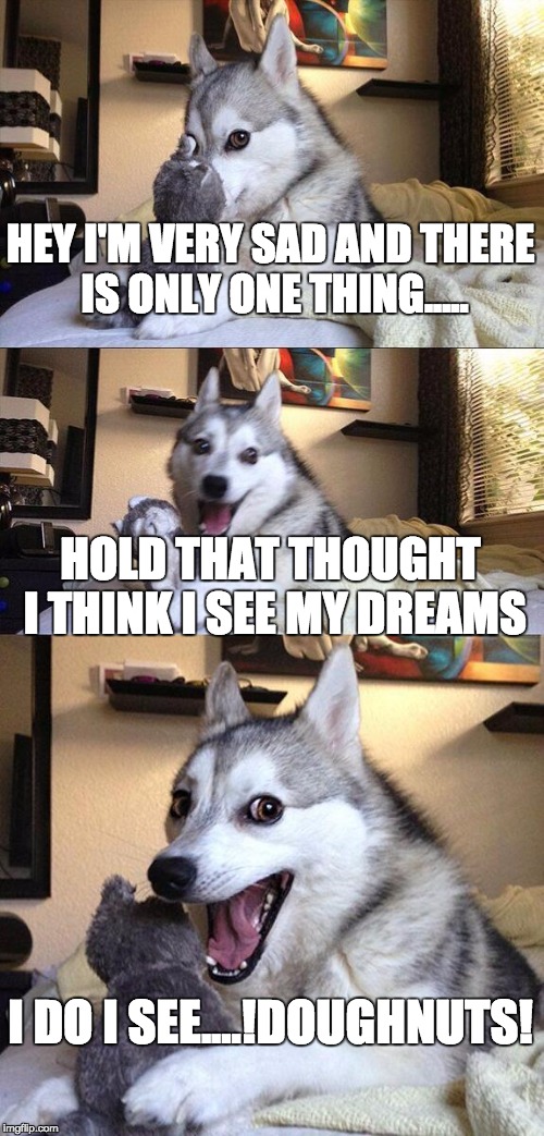 Bad Pun Dog | HEY I'M VERY SAD AND THERE IS ONLY ONE THING..... HOLD THAT THOUGHT I THINK I SEE MY DREAMS; I DO I SEE....!DOUGHNUTS! | image tagged in memes,bad pun dog | made w/ Imgflip meme maker