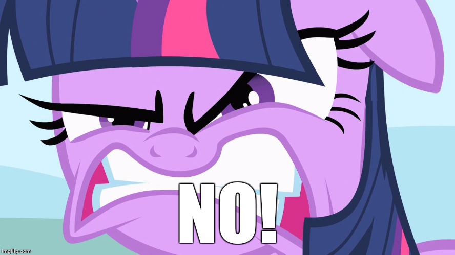 ANGRY Twilight | NO! | image tagged in angry twilight | made w/ Imgflip meme maker