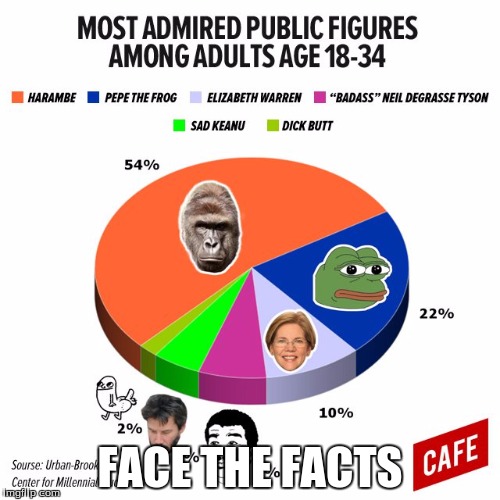 FACE THE FACTS | image tagged in skoool | made w/ Imgflip meme maker
