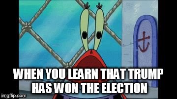 Mr. Krabs Scream | WHEN YOU LEARN THAT TRUMP HAS WON THE ELECTION | image tagged in mr krabs scream | made w/ Imgflip meme maker
