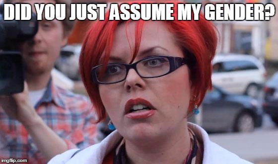 Angry Feminist | DID YOU JUST ASSUME MY GENDER? | image tagged in angry feminist | made w/ Imgflip meme maker