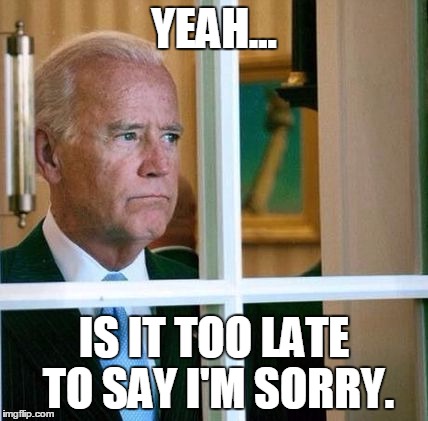 Sad Joe Biden | YEAH... IS IT TOO LATE TO SAY I'M SORRY. | image tagged in sad joe biden | made w/ Imgflip meme maker