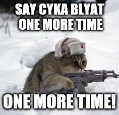 russian cat | SAY CYKA BLYAT ONE MORE TIME; ONE MORE TIME! | image tagged in russian cat | made w/ Imgflip meme maker