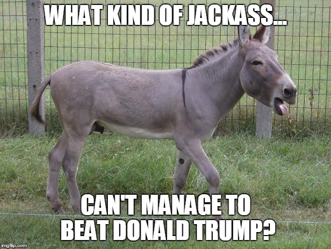 Donkey | WHAT KIND OF JACKASS... CAN'T MANAGE TO BEAT DONALD TRUMP? | image tagged in donkey | made w/ Imgflip meme maker