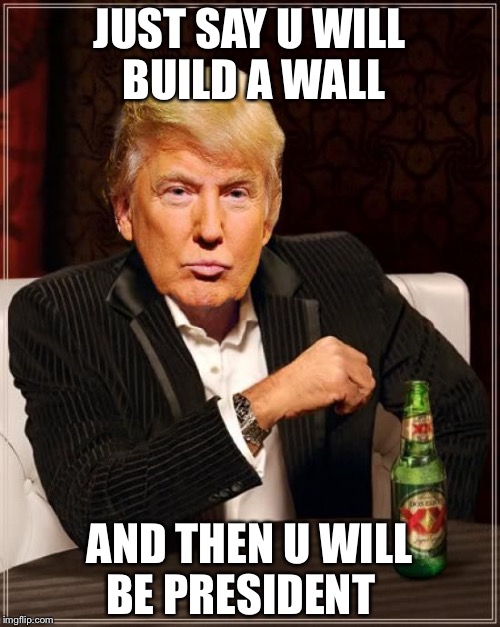 Trump Most Interesting Man In The World | JUST SAY U WILL BUILD A WALL; AND THEN U WILL BE PRESIDENT | image tagged in trump most interesting man in the world | made w/ Imgflip meme maker