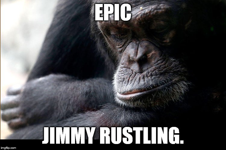 Koko | EPIC JIMMY RUSTLING. | image tagged in koko | made w/ Imgflip meme maker