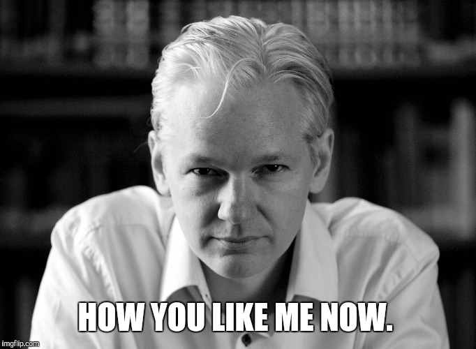 Julian Assange |  HOW YOU LIKE ME NOW. | image tagged in julian assange | made w/ Imgflip meme maker