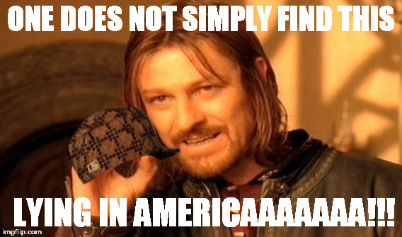 One Does Not Simply | ONE DOES NOT SIMPLY FIND THIS; LYING IN AMERICAAAAAAA!!! | image tagged in memes,one does not simply,scumbag | made w/ Imgflip meme maker