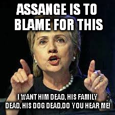 Hillary after losing to Trump | ASSANGE IS TO BLAME FOR THIS; I WANT HIM DEAD, HIS FAMILY DEAD, HIS DOG DEAD,DO  YOU HEAR ME! | image tagged in hillary,assange,wikileaks,trump,election2016,clinton | made w/ Imgflip meme maker