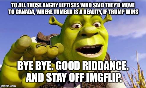 TO ALL THOSE ANGRY LEFTISTS WHO SAID THEY'D MOVE TO CANADA, WHERE TUMBLR IS A REALITY, IF TRUMP WINS; BYE BYE. GOOD RIDDANCE. AND STAY OFF IMGFLIP. | image tagged in shrek | made w/ Imgflip meme maker