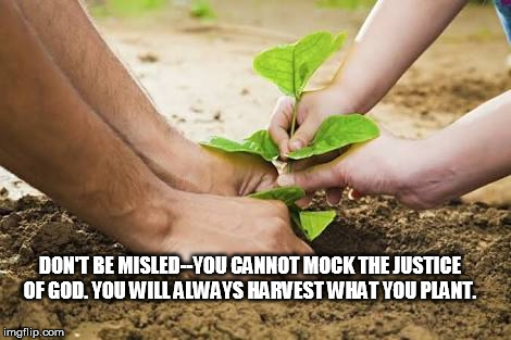 Election Results | DON'T BE MISLED--YOU CANNOT MOCK THE JUSTICE OF GOD. YOU WILL ALWAYS HARVEST WHAT YOU PLANT. | image tagged in planting,election 2016,donald trump | made w/ Imgflip meme maker