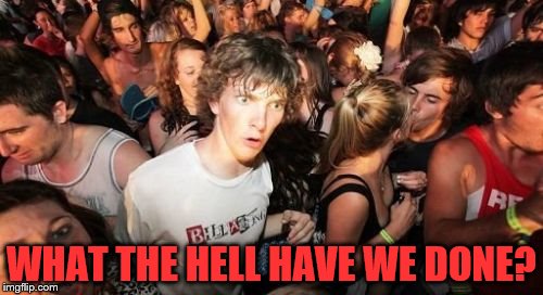 Sudden Clarity Clarence | WHAT THE HELL HAVE WE DONE? | image tagged in memes,sudden clarity clarence | made w/ Imgflip meme maker