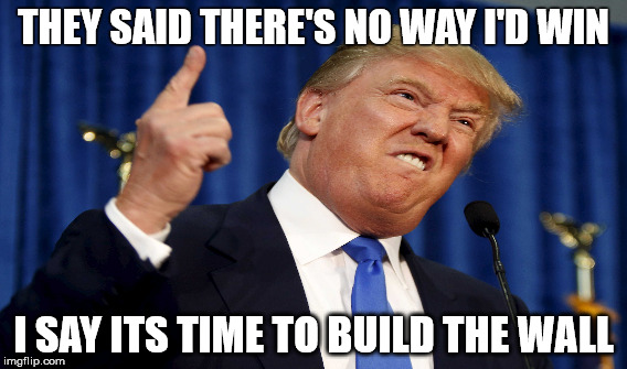 We're all screwed | THEY SAID THERE'S NO WAY I'D WIN; I SAY ITS TIME TO BUILD THE WALL | image tagged in donald trump,2016 us election,we're all doomed | made w/ Imgflip meme maker