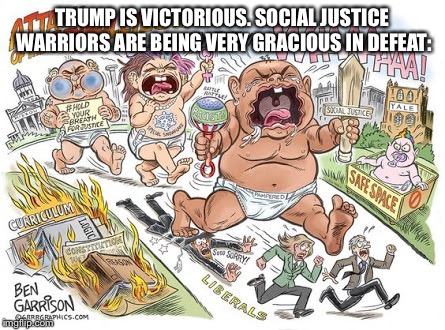 TRUMP IS VICTORIOUS. SOCIAL JUSTICE WARRIORS ARE BEING VERY GRACIOUS IN DEFEAT: | image tagged in millennial crybullies | made w/ Imgflip meme maker