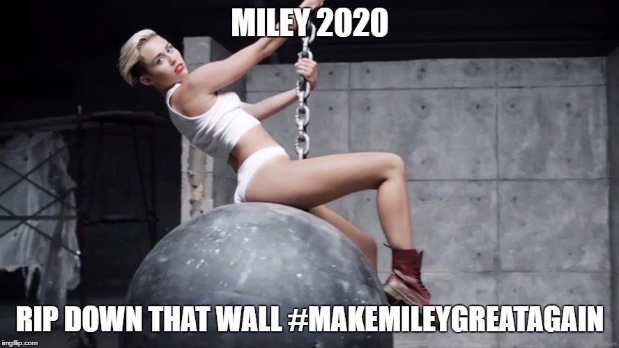 MILEY 2020; RIP DOWN THAT WALL #MAKEMILEYGREATAGAIN | image tagged in miley 2020 | made w/ Imgflip meme maker