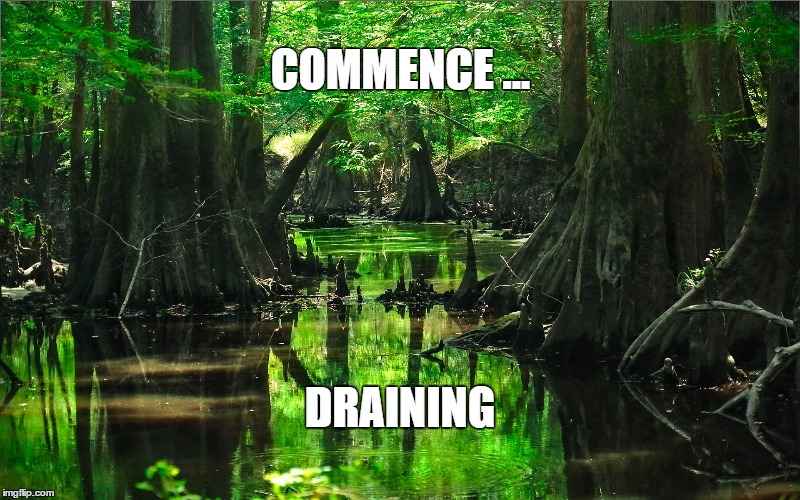 COMMENCE ... DRAINING | image tagged in swamp | made w/ Imgflip meme maker
