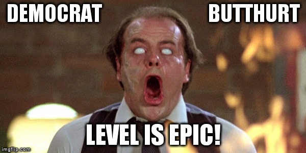 DEMOCRAT                          BUTTHURT; LEVEL IS EPIC! | image tagged in scanners | made w/ Imgflip meme maker