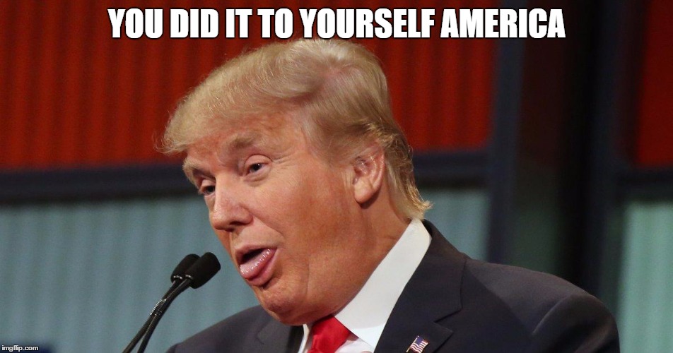  YOU DID IT TO YOURSELF AMERICA | image tagged in trump,us election,america | made w/ Imgflip meme maker