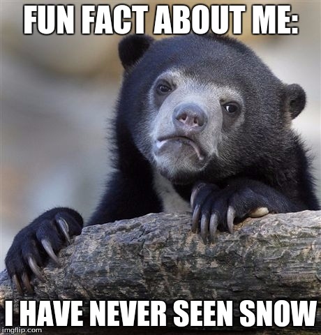 Confession Bear Meme | FUN FACT ABOUT ME:; I HAVE NEVER SEEN SNOW | image tagged in memes,confession bear | made w/ Imgflip meme maker