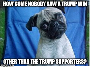 Huh? | HOW COME NOBODY SAW A TRUMP WIN; OTHER THAN THE TRUMP SUPPORTERS? | image tagged in huh | made w/ Imgflip meme maker