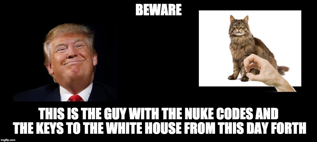 Election Results | BEWARE; THIS IS THE GUY WITH THE NUKE CODES AND THE KEYS TO THE WHITE HOUSE FROM THIS DAY FORTH | image tagged in donald trump,memes,sad,sad but true,election 2016,white house | made w/ Imgflip meme maker