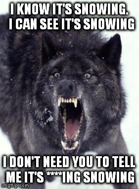 If you're cold, they're cold | I KNOW IT'S SNOWING.  I CAN SEE IT'S SNOWING; I DON'T NEED YOU TO TELL ME IT'S ****ING SNOWING | image tagged in if you're cold they're cold | made w/ Imgflip meme maker