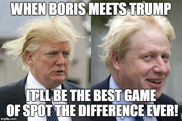 When Boris Meets Trump - Spot the Difference! |  WHEN BORIS MEETS TRUMP; IT'LL BE THE BEST GAME OF SPOT THE DIFFERENCE EVER! | image tagged in donald trump,trump,us election,boris johnson,hair,election 2016 | made w/ Imgflip meme maker